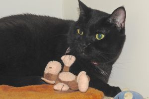 Picture of Samantha