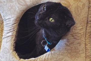 Picture of Samantha