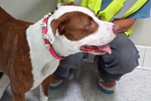 Picture of Sara (CGC)