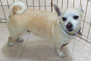 Picture of Taco