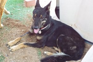 Picture of Lexi