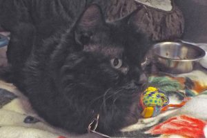 Picture of Luna Lou