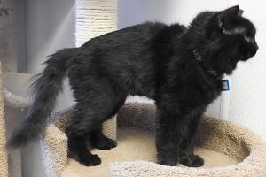 Picture of Luna Lou