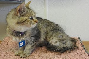 Picture of Mattie