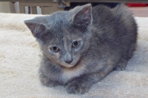 Picture of Minnie