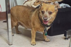 Picture of Mr. Buddy