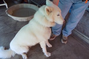 Picture of Nikolai