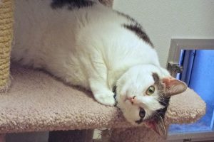 Picture of Phoebe