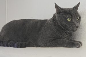 Picture of Big Casper