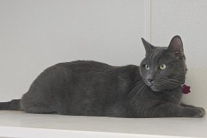 Picture of Big Casper