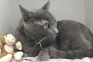 Picture of Big Casper