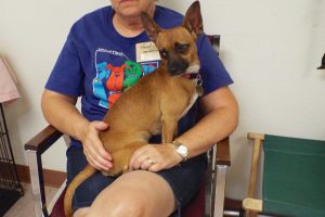 Picture of Peanut