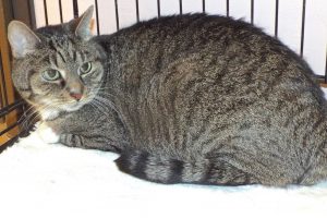 Picture of Sabrina