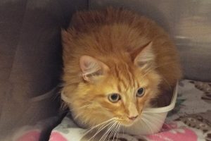 Picture of Wilbur