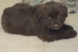 Picture of Windy