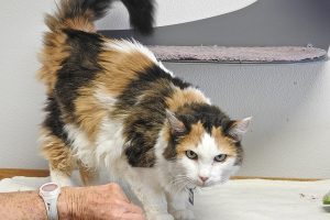 Picture of Chloe