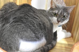 Picture of Daisy Mae