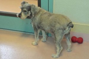 Picture of Fritz