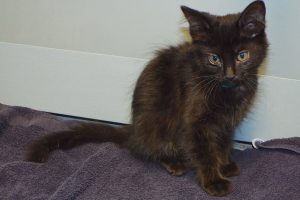 Picture of Irene