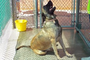 Picture of Hilda