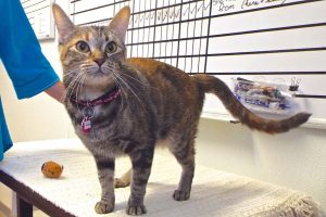 Picture of Ms. Jasper