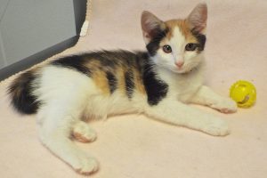 Picture of Joslyn