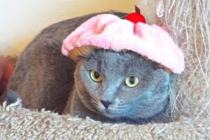 Picture of Mya