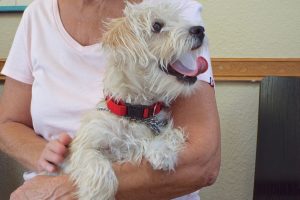Picture of Danny