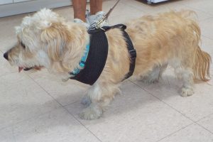 Picture of Zoey