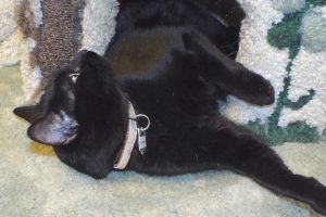 Picture of Kaysee