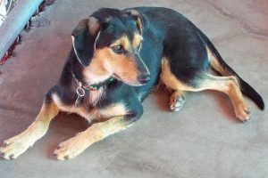 Picture of Alister