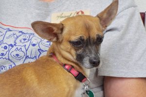 Picture of Betsy