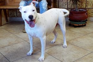 Picture of Heidi