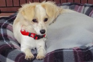Picture of Nina