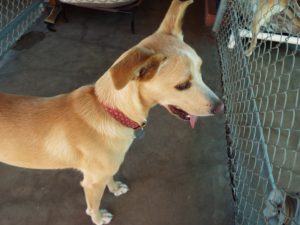 Picture of (Ms.) Charley
