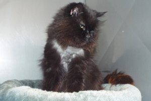 Picture of Esperanza