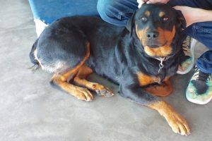 Picture of Margo