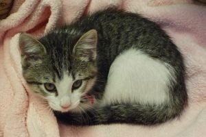 Picture of Mia