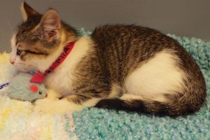 Picture of Mia