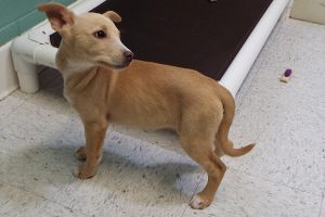 Picture of Shelly