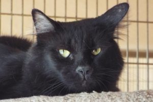 Picture of Burt