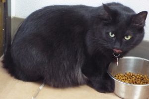 Picture of Kimberly