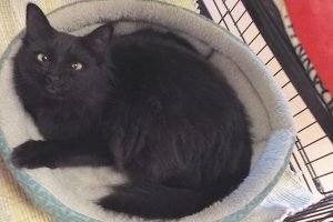 Picture of Kimberly