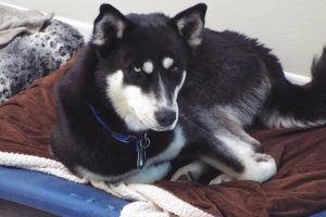 Picture of Maggie