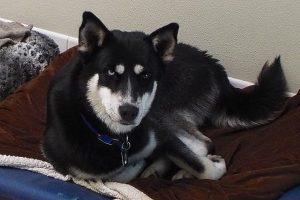 Picture of Maggie