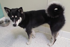 Picture of Maggie