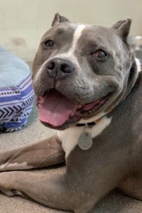 Picture of Riley