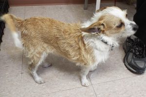 Picture of Angel