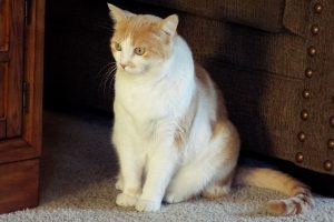 Picture of Gabby