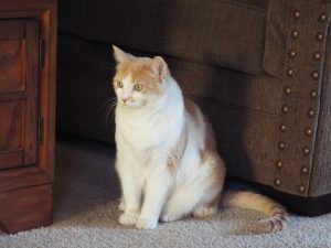 Picture of Gabby